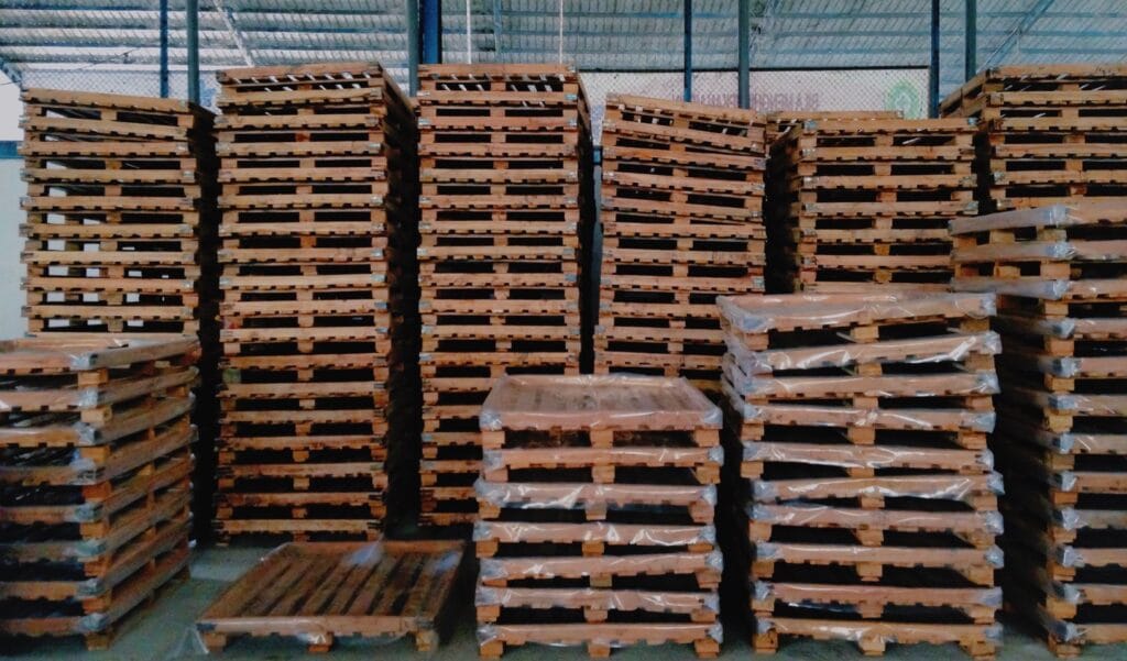 Wood Pallet