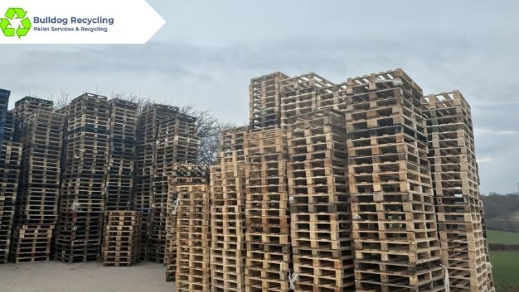 How Can Recycling The Pallets Help the Environment
