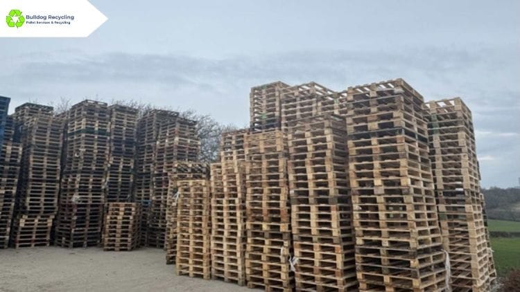 wood pallet recycling