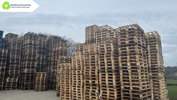 Pallet recycling